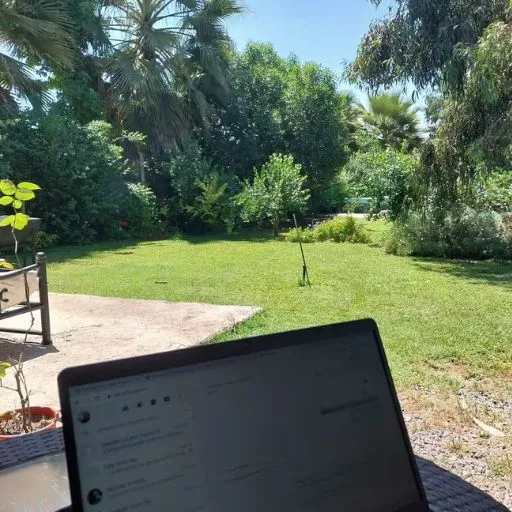 diseño sin título (8)